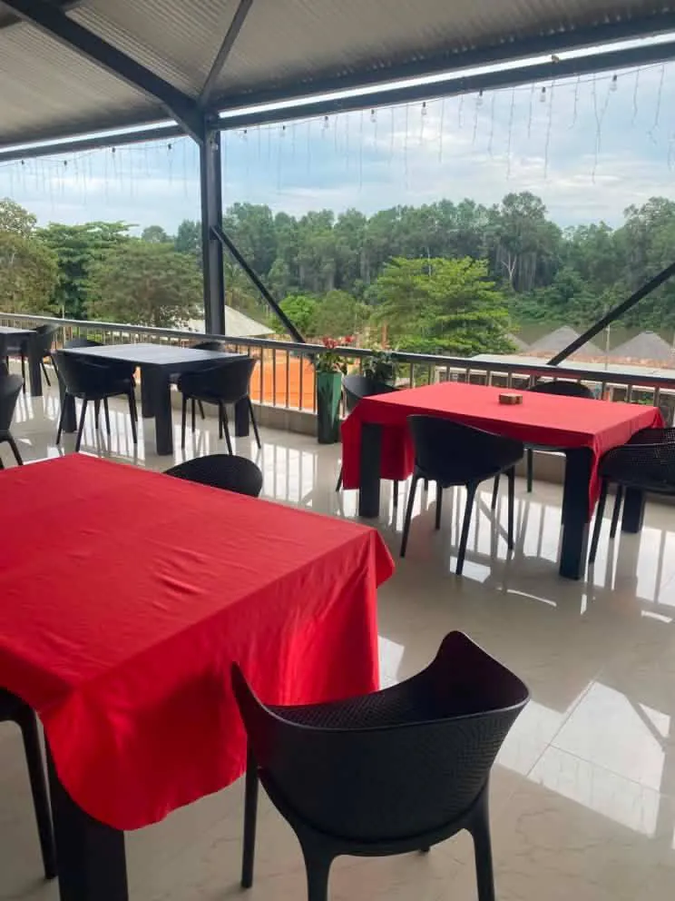 Rooftop dining terrace overlooking the river forest